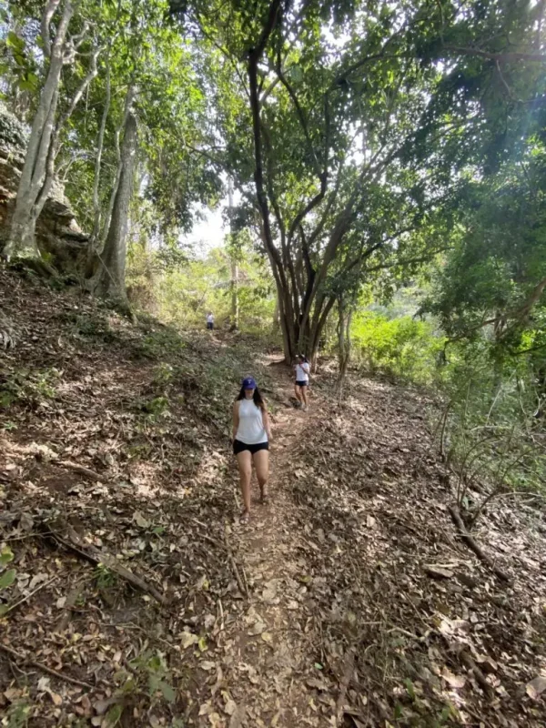 Monkey-Mountain-Hiking-Trail-6-768x1024